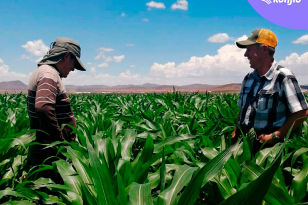 AGRO-IPSA, una Pyme que sabe adaptarse a los cambios