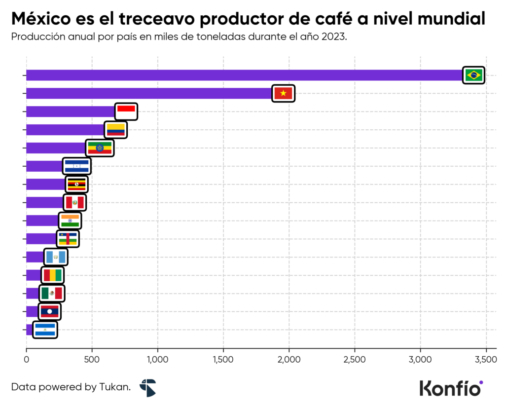 Producción de café en México: los estados que impulsan el crecimiento del sector 2 Producción de café en México: los estados que impulsan el crecimiento del sector