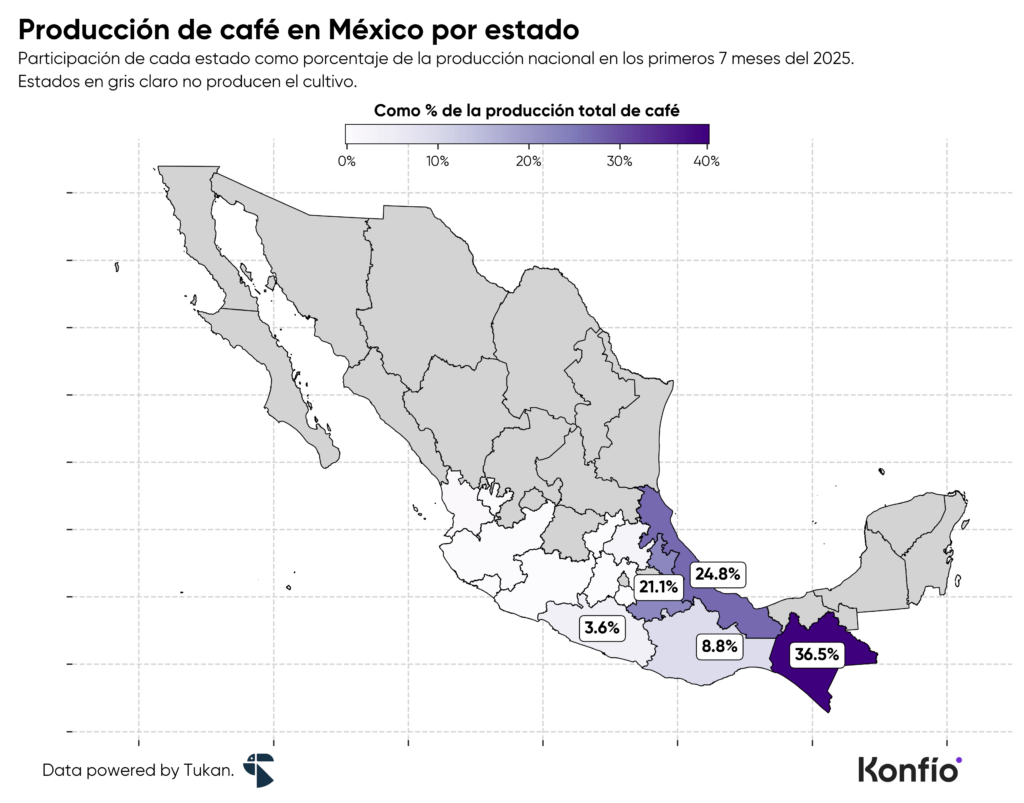 Producción de café en México: los estados que impulsan el crecimiento del sector 4 Producción de café en México: los estados que impulsan el crecimiento del sector