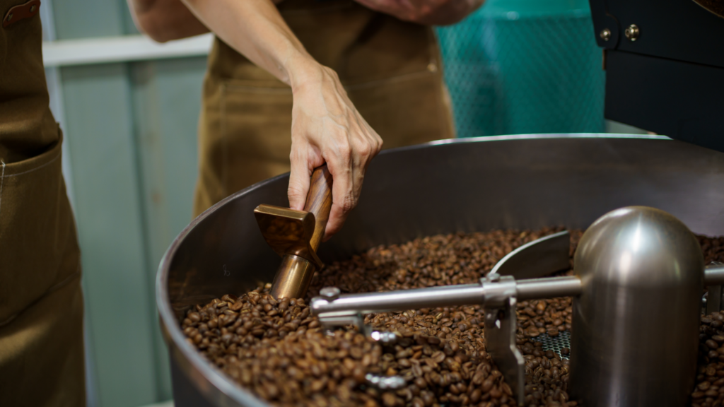 Producción de café en México: los estados que impulsan el crecimiento del sector